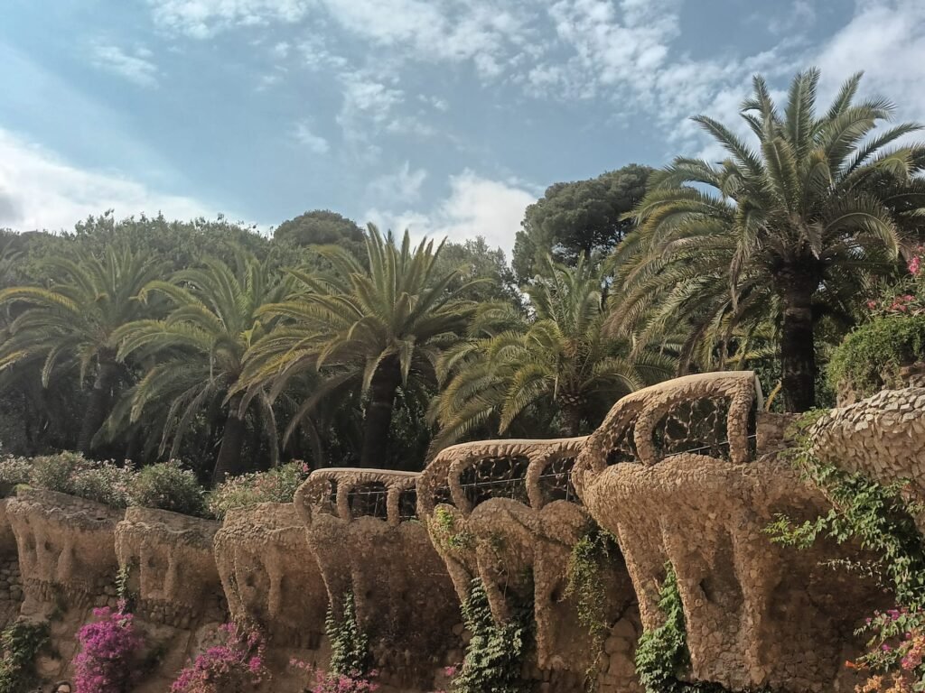 Vista de pequeñas palmeras rodeadas por una cerca de piedra natural en el Parque Güell de Barcelona