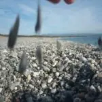 Piedras lanzadas al aire que parecen flotar por un instante… como las emociones que cargamos en silencio.